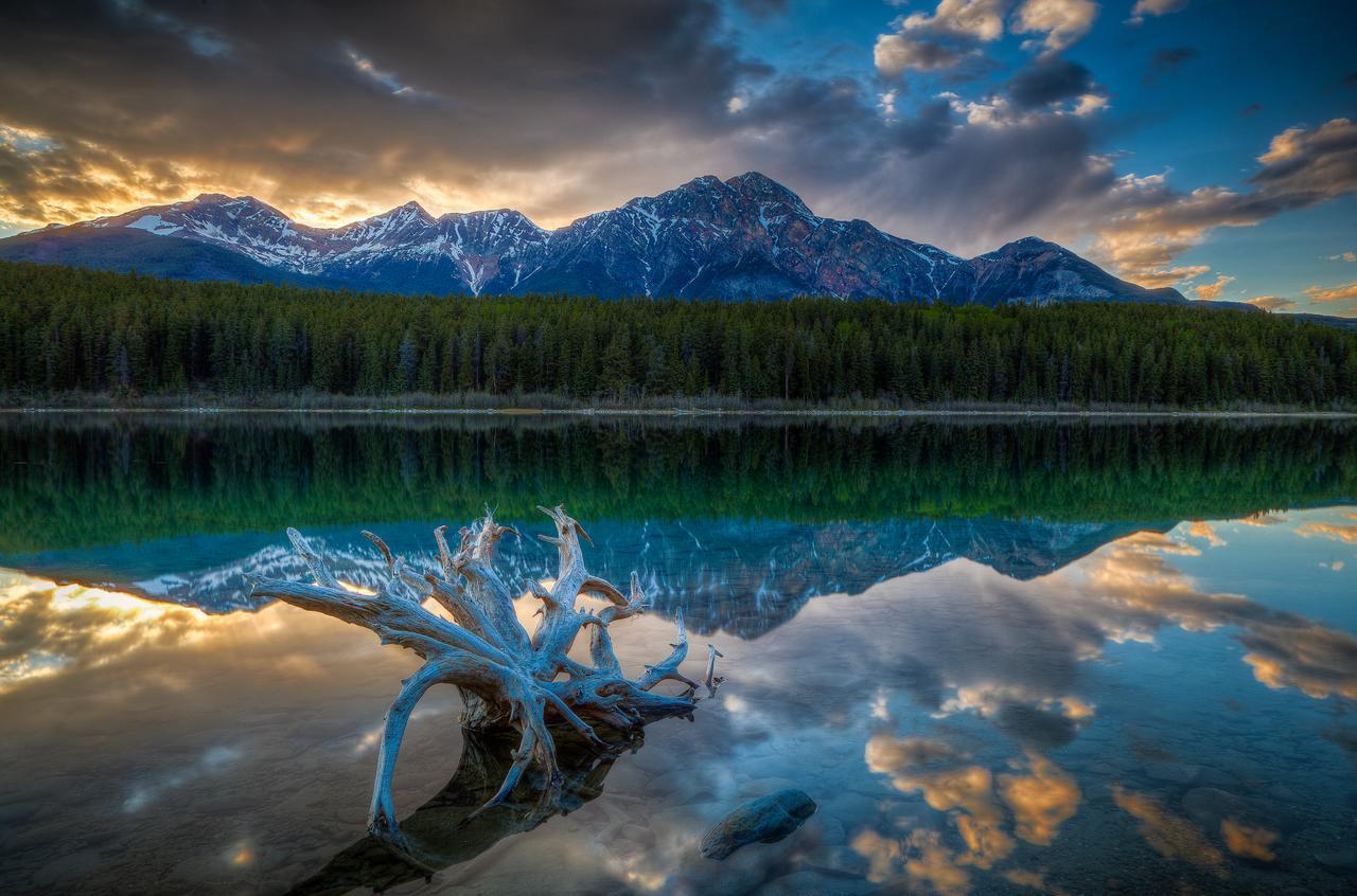 Patricia Lake Bungalows 재스퍼 외부 사진